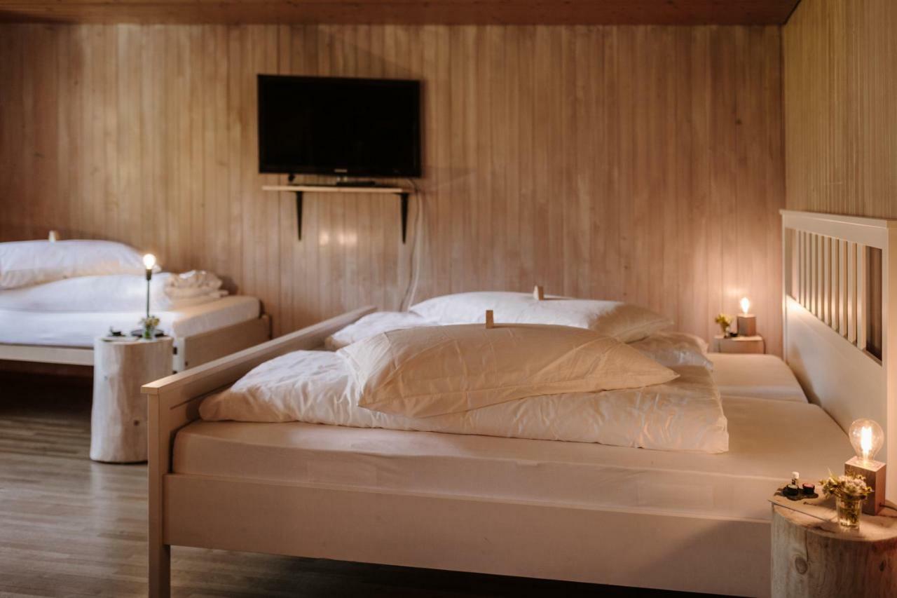 Wildstrubel Lodge Adelboden Extérieur photo